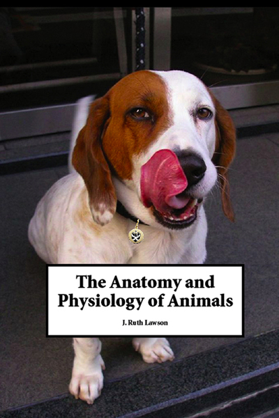 author-book-store-hero-book-cover-img